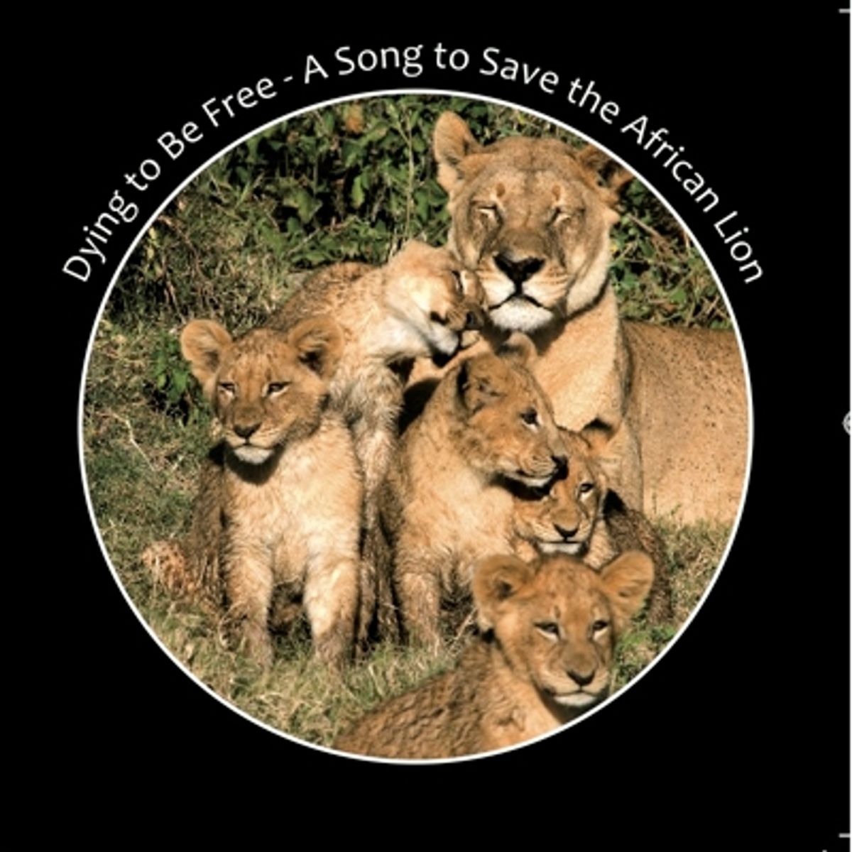 Dying to Be Free original artwork