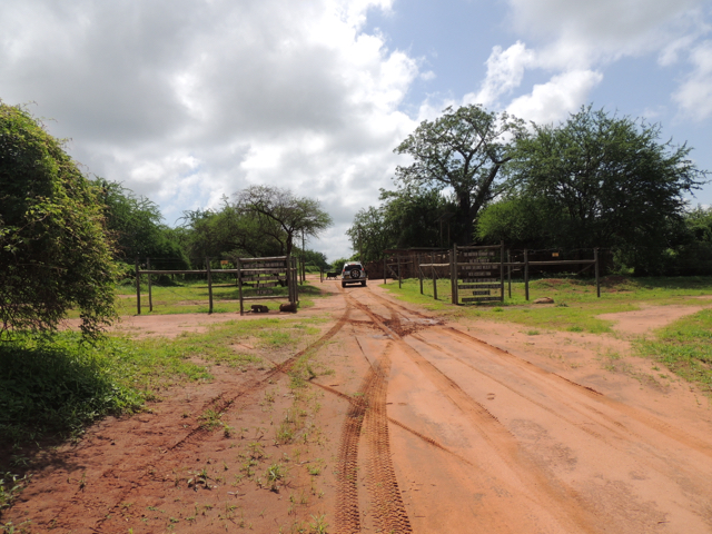 Anouschka's photograph from Kenya, 3
